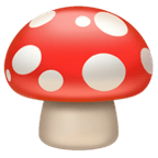 Psicodelicos