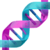 Neurobiología