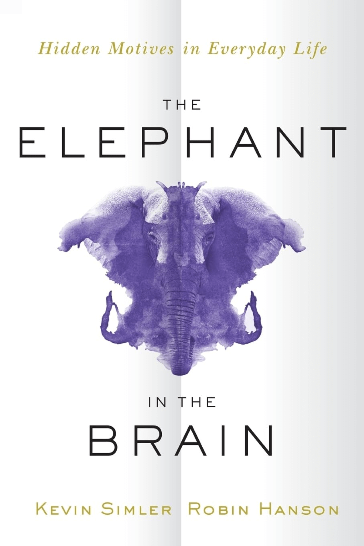 The Elephant in The Brain